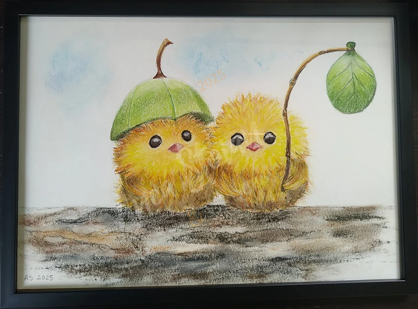 pui