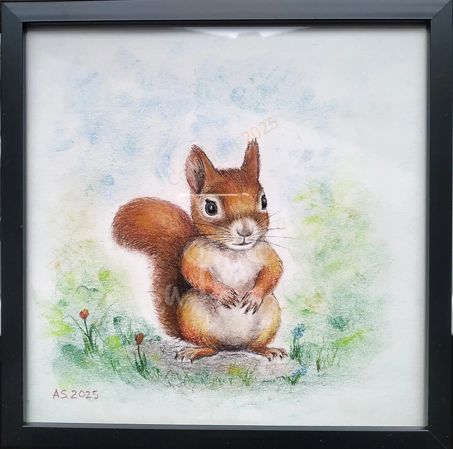 squirrel